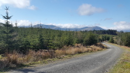 Faces of Forestry