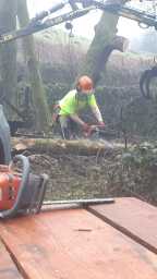 Faces of Forestry
