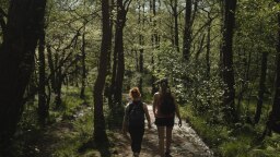 Faces of Forestry