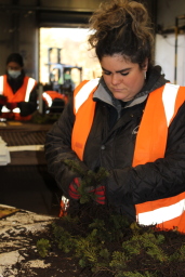 Faces of Forestry