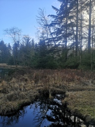 Faces of Forestry