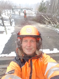 Faces of Forestry
