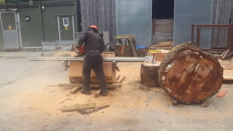 Faces of Forestry