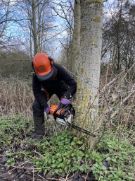Faces of Forestry